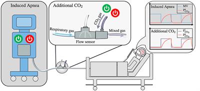 High inspired CO2 target accuracy in mechanical ventilation and spontaneous breathing using the Additional CO2 method